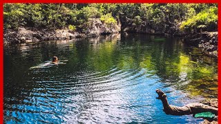 La Cueva de los Peces Paraíso en la Ciénaga de Zapata [upl. by Lucille]