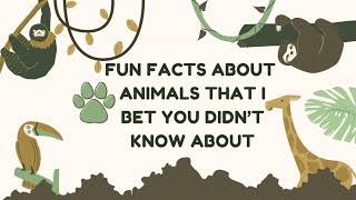 Fun facts about animals you didnt know about [upl. by Eetnahc]