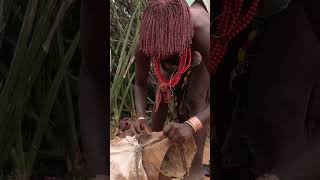 Hamer Womens are beautiful africantribes shortvideo short [upl. by Novia873]