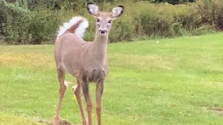 We bought a farm New House Tour [upl. by Tompkins211]