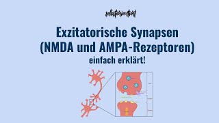 Exzitatorische Synapse  AMPA amp NMDA Rezeptoren  Funktion Ionotrope Metabotrope Glutamatrezeptoren [upl. by Merceer]