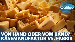 Alles für die Löcher Emmentaler aus der Käsemanufaktur vs aus der Fabrik [upl. by Ihcelek]