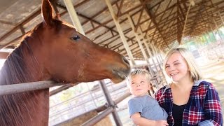 TODDLER REACTS TO HORSE [upl. by Lhok]