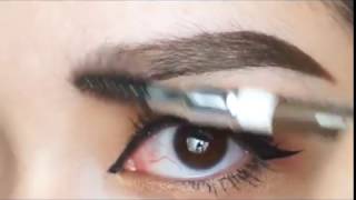 Wet n Wild Perfect Eyebrows [upl. by Kramer]