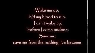 Evanescence Amy Lee Wake me up Inside Lyrics [upl. by Nodnarg]