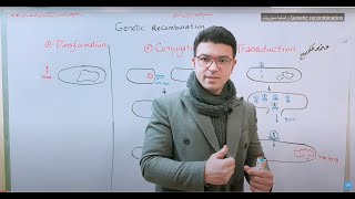 Genetic recombination in Bacteria Gene transfer داسامه معروف شير ولايك لو عجبك و اشترك في القناة [upl. by Saundra]