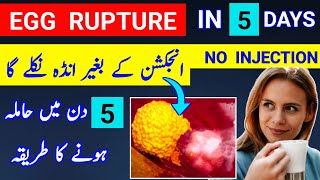 Rupture Egg in 5 Days And Get Pregnancy Fast Home Remedy For Egg Rupture Ovulation Tips [upl. by Tewfik]