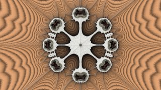 The Land  A Stretched Burning Ship Fractal Zoom [upl. by Sjoberg]