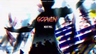 GODWIN  NEXT PILL PRODFENIKO [upl. by Assilen656]