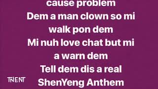 Shenseea  ShenYang Anthem lyrics [upl. by Valsimot916]