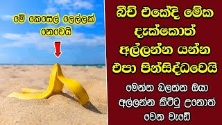 ඔබ මේවා දකින්නේ ජිවිතේ පළමු වතාවට EP286 [upl. by Rambow]