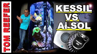 Which Light Grows Coral Faster KESSIL A80 VS AI PRIME SOL Results [upl. by Giovanni]