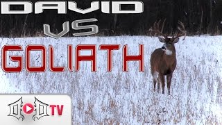 DAVID VS GOLIATH Largest Wild Buck EVER Caught On Camera [upl. by Otiv201]