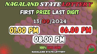 First Prize Last Digit 130924 Nagaland State Lottery Target Number Lottery Sambad Target Number [upl. by Isoais981]