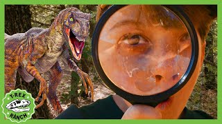 Can You Find All the Dinosaurs Scavenger Hunt  TRex Ranch Dinosaur Videos for Kids [upl. by Analahs]