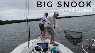 Florida Everglades Island Fishing produces BIG Snook [upl. by Suirad458]