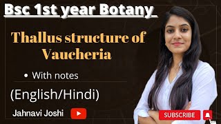 Vaucheria Thallus Structure Notes Bsc 1st Botany [upl. by Geordie]