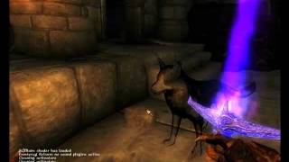 Lets Play Oblivion  The Oubliette Part 1 Kajidohs Halloween Adventure [upl. by Eeleak]