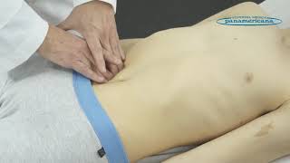 Video 25 Palpación del abdomen Palpación profunda de vísceras huecas [upl. by Noside]