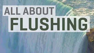 All About Flushing Leaching with Hydroponics [upl. by Atiluj666]