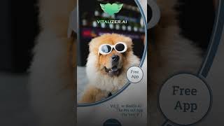 Give your pet the tender care they deserve with Vitalizers advanced AI [upl. by Carder]