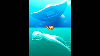 el gran maja vs ningenworm blue whalehippocampus shorts viral monster music the [upl. by Williams]