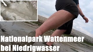 Der Nationalpark Wattenmeer bei Niedrigwasser  junger Lebensraum und Gesundheitsspender in einem [upl. by Nylekcaj]