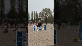 update nouvelle ferrure tout va bien  🫶🏻 cso cheval horse equitation cavalier avril 2024 [upl. by Aihsikal]