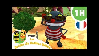 DRÔLES DE PETITES BÊTES  1 Heure  Compilation 04 [upl. by Krilov469]