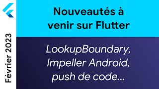 Nouveautés Flutter Février  Widget LookupBoundary push de code tree shaking des icônes… [upl. by Hamilah]