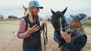 Dena Kirkpatrick and Sherry Cervi Discuss Classic Equine Horse Blankets [upl. by Ennaimaj617]