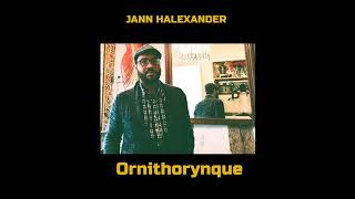 Jann Halexander – Altérités album Ornithorynque 2024 [upl. by Nnaul]