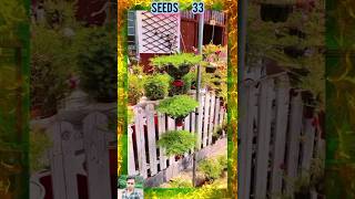 Best home gardening ideas plantsflowers gardening plants flowers flower seedsplants33 [upl. by Nosemyaj774]