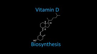 Vitamin D calciferol Biosynthesis [upl. by Margarita429]