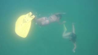 Free diving and Fin swimming Summer Camp Key West 2017 [upl. by Groscr]