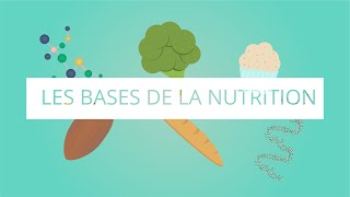 Les bases de la nutrition [upl. by Niveb]