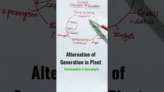 SporophyteGametophyteAlternation of Generation in Plants shorts sporophyte gametophyte [upl. by Sunny]