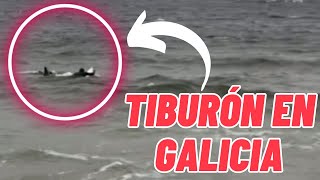 SURFISTA SORPRENDIDO POR UN TIBURÓN EN GALICIA [upl. by Eboh]