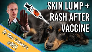 A Dog with Rash  Skin Lump after Vaccination  something to worry about [upl. by Nehtanhoj]