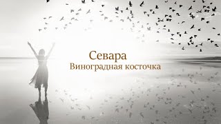 Севара  Виноградная косточка [upl. by Norrad]