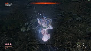 Sekiro  ORin of the Water Enemies Die Twice Mod No Damage [upl. by Teahan500]