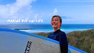 marine biology uni vlog  studying marine biology  surfing  wellness habits [upl. by Enna842]