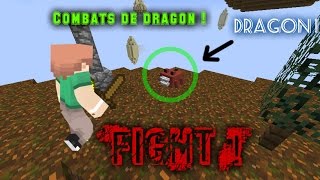 COMBATS CONTRE DES DRAGONS   Map Dragon Hunt 191 [upl. by Cahan]