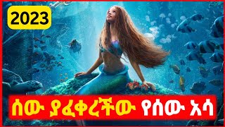 🔴 ያፈቀረችውን ሰው ለማግኘት ከባህር ወጣች  Kokeb film  Achir film  mert film  ምርጥ ፊልም  sera film [upl. by Granville]