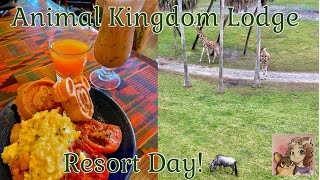 Disneys Animal Kingdom Lodge Resort Day Brunch at Boma  The Most Active Savanna We’ve Ever Had [upl. by Getter]