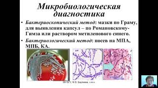 Возбудители бактериальных и вирусных инфекций Бадлеева МВ  5 лекция [upl. by Devad212]