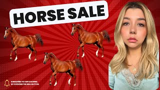 HORSE SALE IN DUBAI I HOW TO BUY A RACE HORSE I GODOLPHIN amp TATTERSALLS I ERA HORSE SALE [upl. by Ateiram]