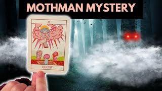 Mothman Terrifying Truth Revealed  Psychic Tarot Reading [upl. by Ekusuy]