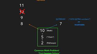 Coagulation Cascade  USMLE [upl. by Winikka694]