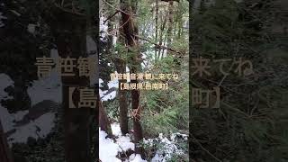 江田島youtuber ゆうさん 邑南町青笹観音滝島根おすすめ観光地美しい滝 [upl. by Orel]